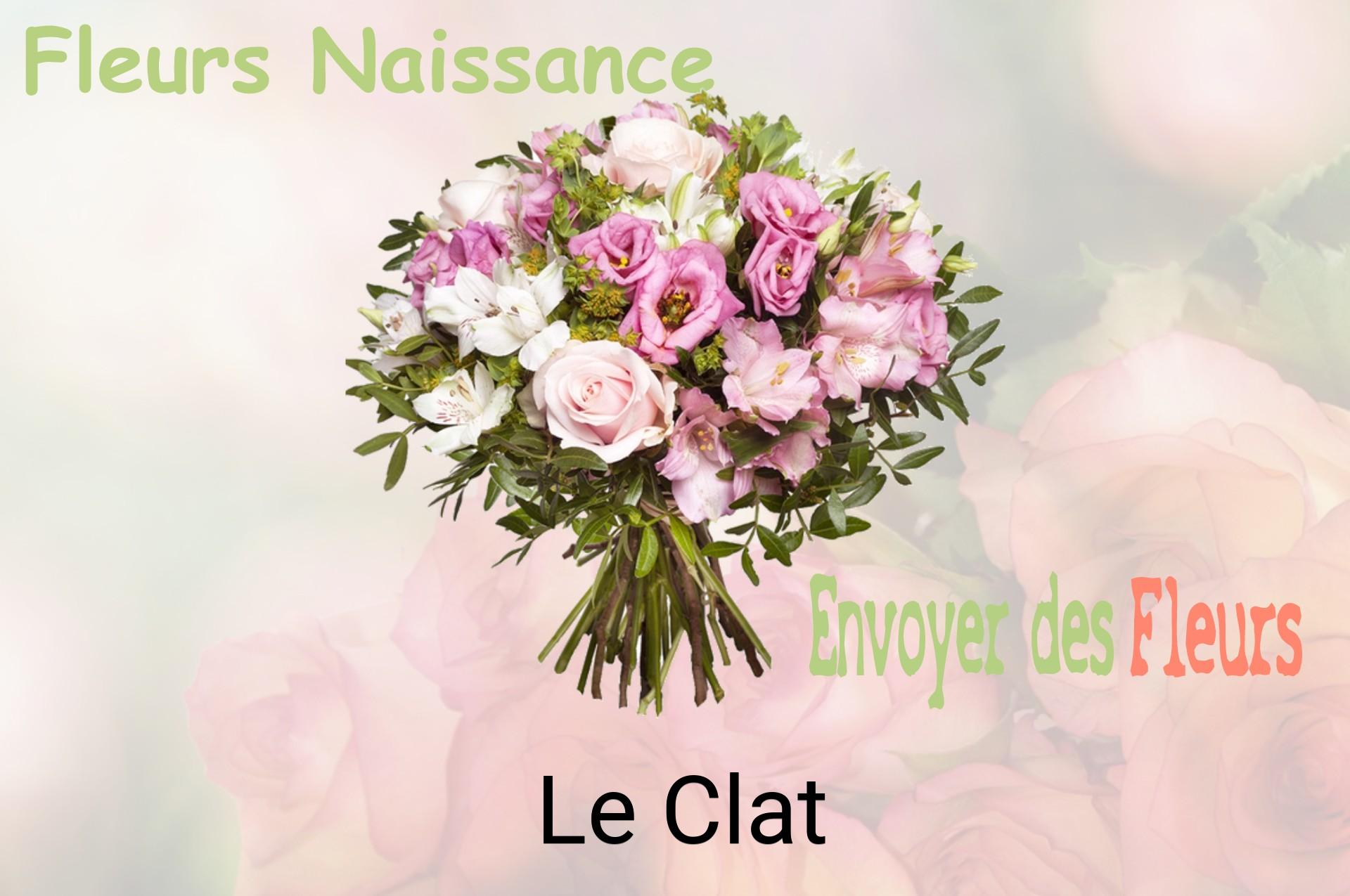 Bouquet de fleurs de naissance livré à Le Clat